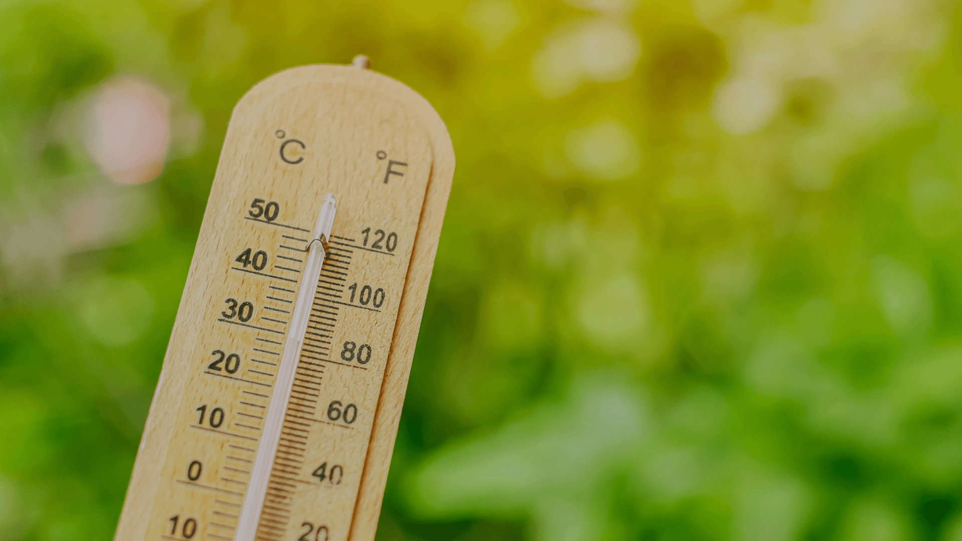ingezoomde temperatuurmeter in het gras