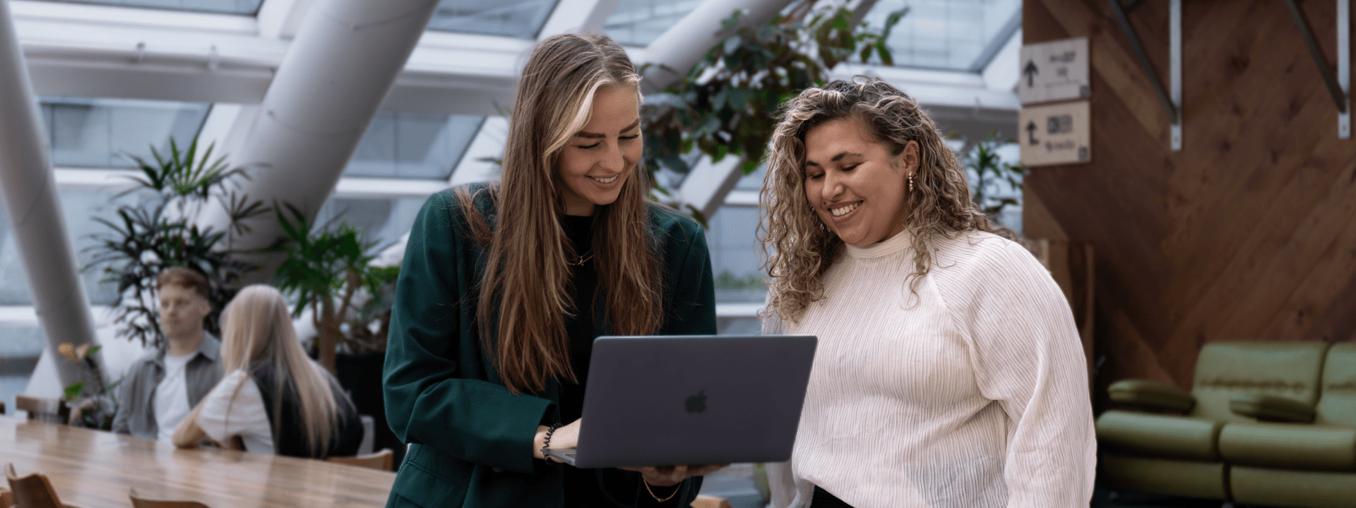 search-block-background