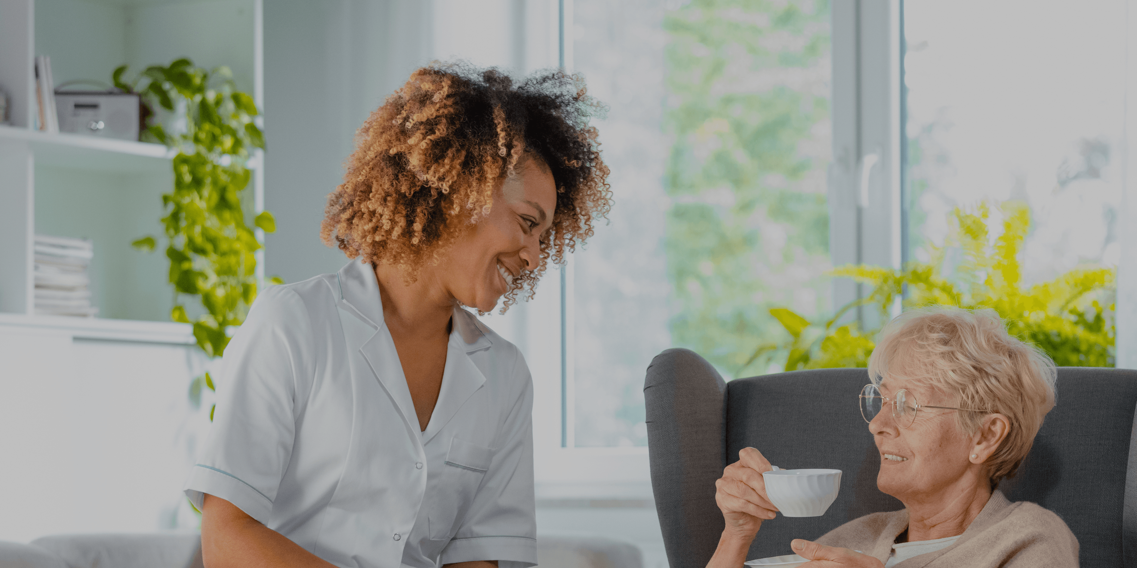 search-block-background